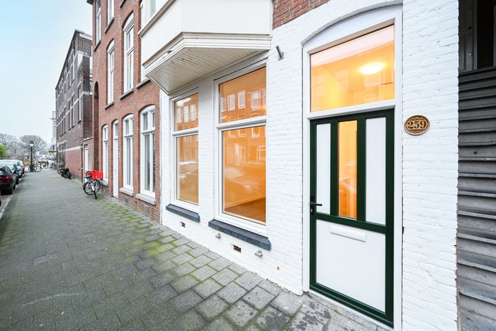 Bekijk foto 2 van Copernicusstraat 259