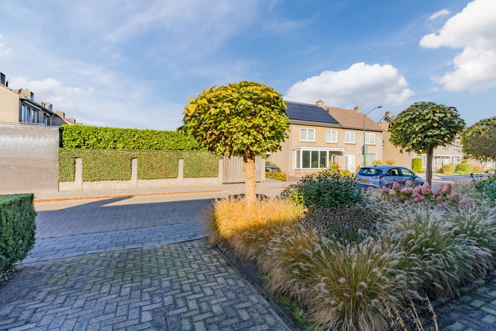 Foto 5 van Aelenstraat 6