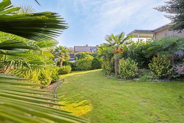 Foto 24 van Pastorijstraat 62