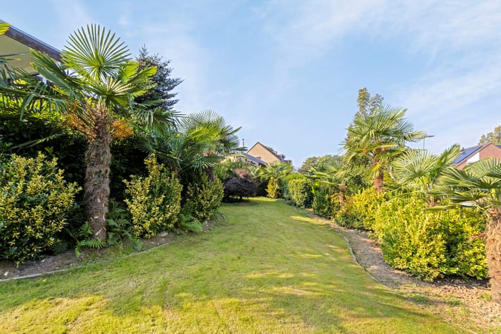 Foto 25 van Pastorijstraat 62