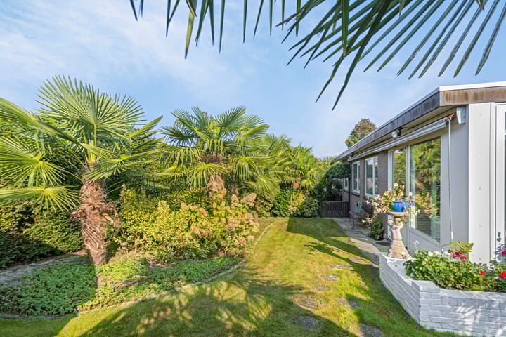 Foto 26 van Pastorijstraat 62