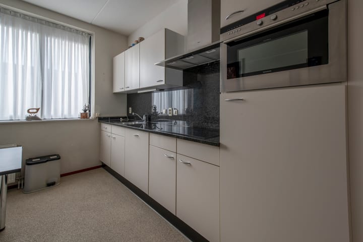 Foto 10 van Buxusplaats 119