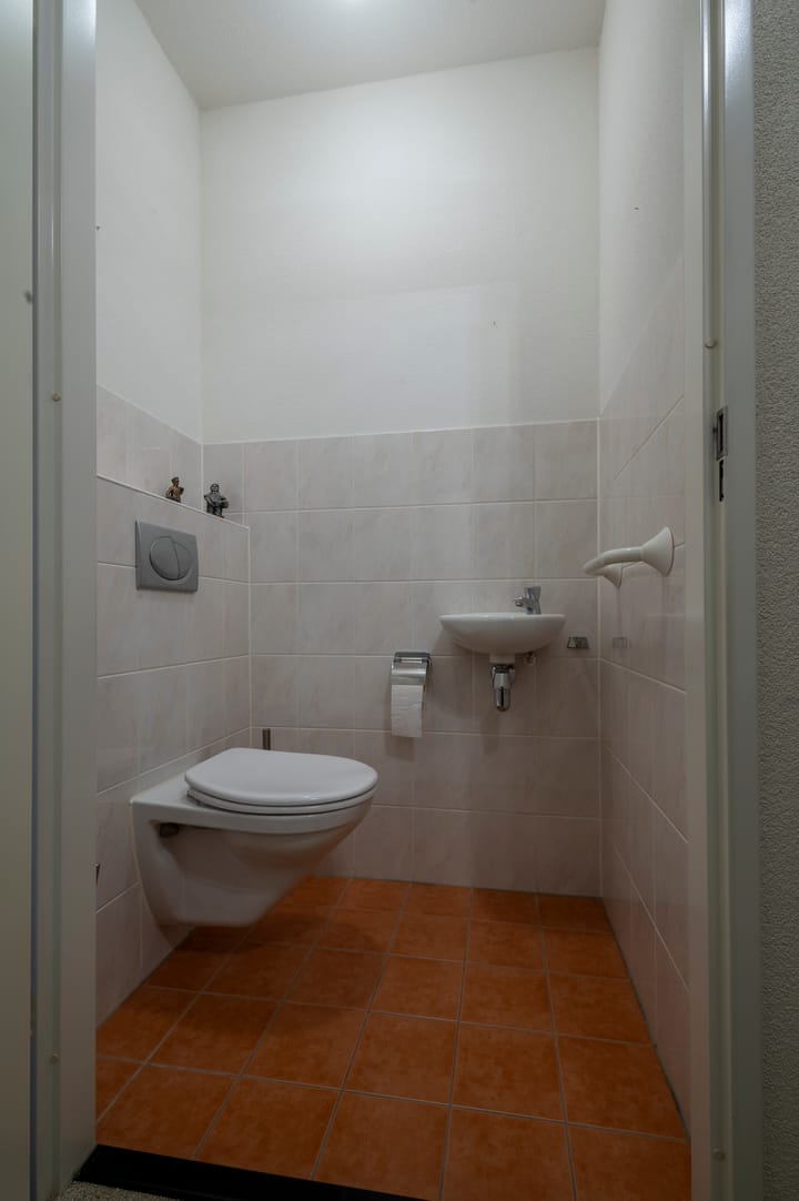 Foto 12 van Buxusplaats 119