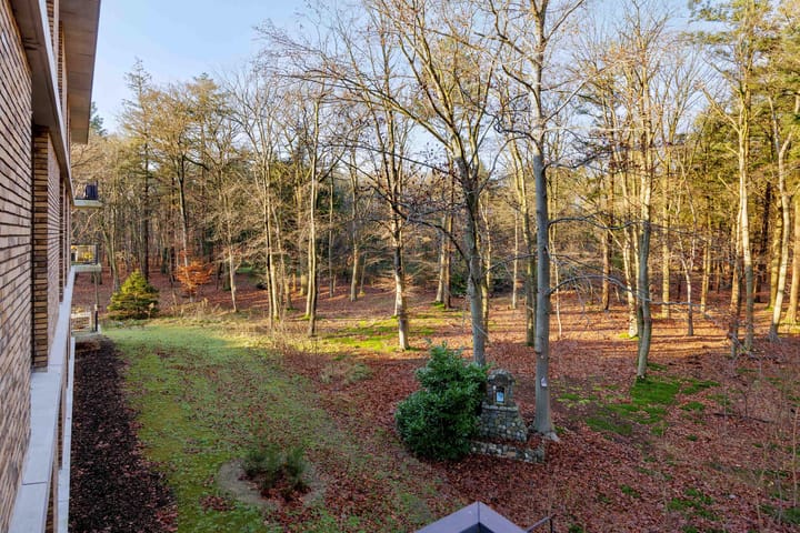 Foto 41 van Paterslaan 40