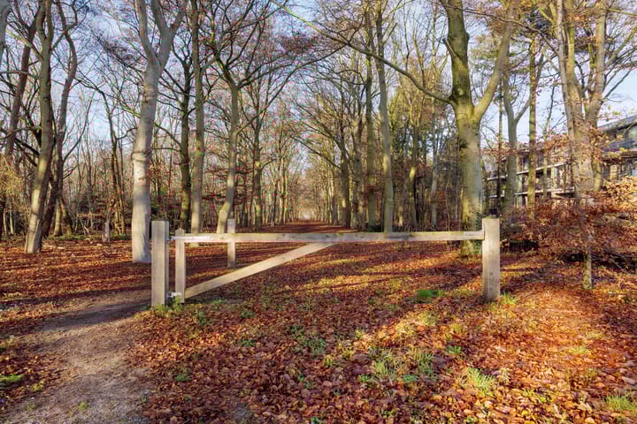 Foto 42 van Paterslaan 40