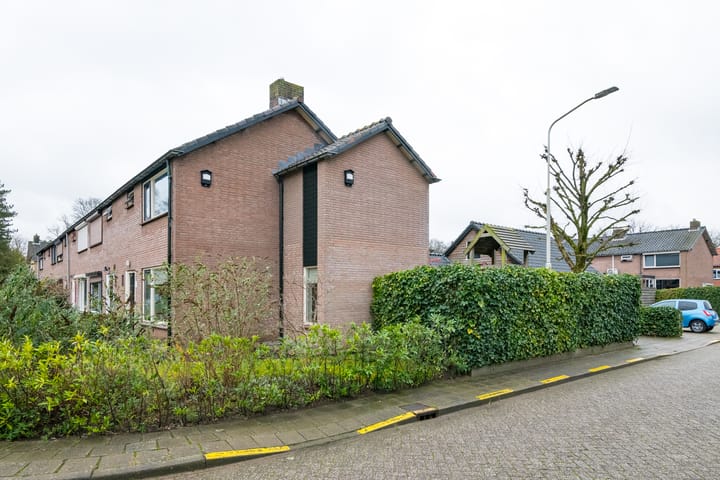 Foto 7 van de Haar 11