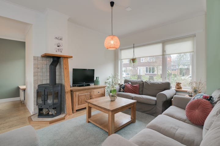 Foto 13 van de Haar 11