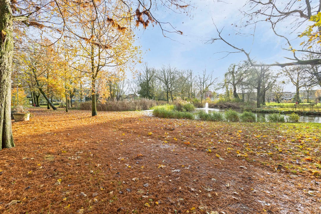 Photo 41 of Jan de Wittestraat 77