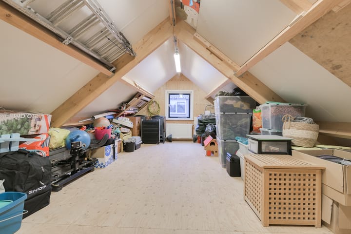 Foto 56 van de Haar 11