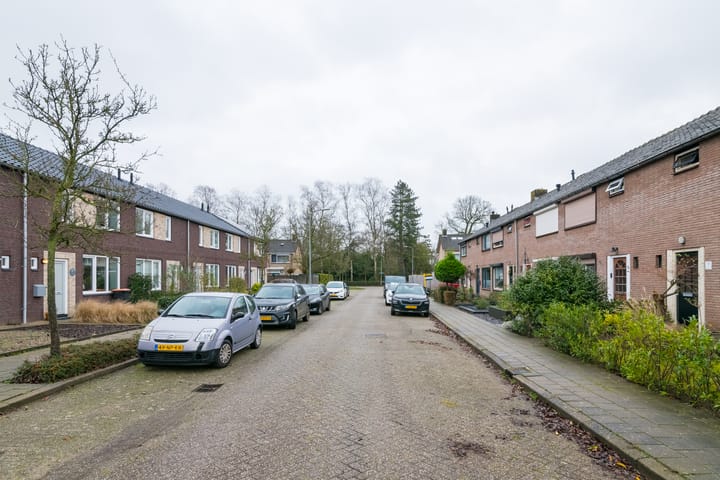 Foto 57 van de Haar 11