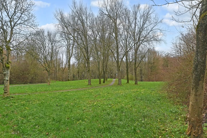 Foto 59 van Chopinrode 17