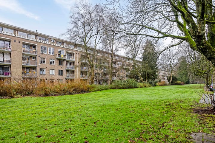 Foto 6 van Lippe Biesterfeldstraat 31-1