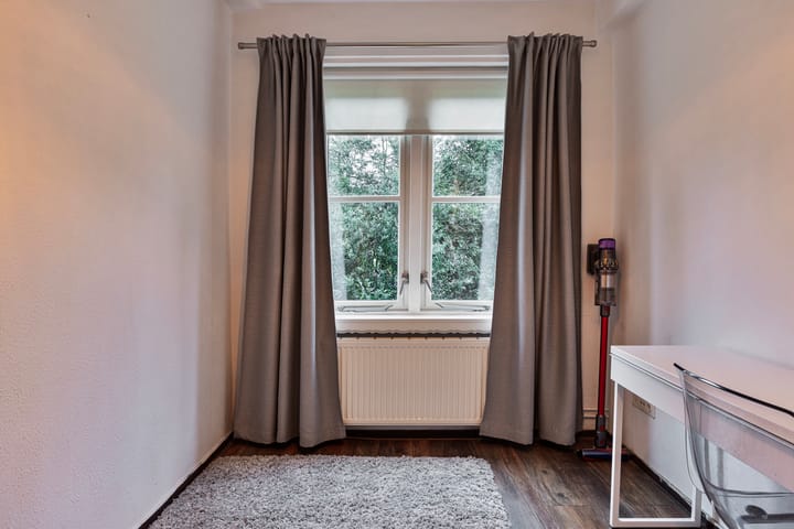 Foto 35 van Lippe Biesterfeldstraat 31-1