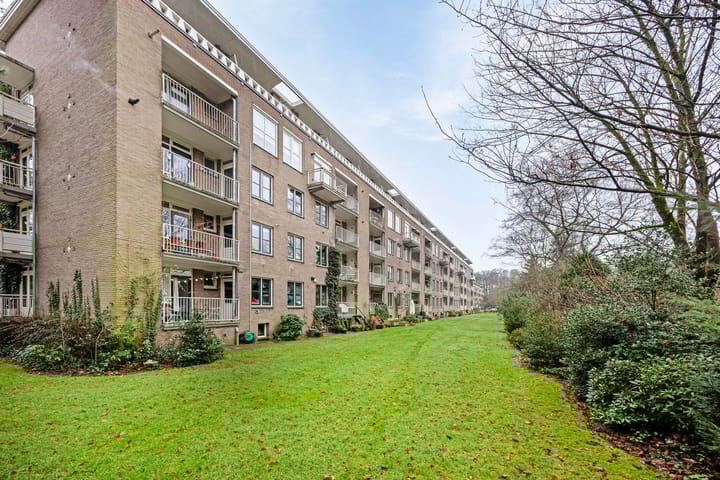 Foto 41 van Lippe Biesterfeldstraat 31-1