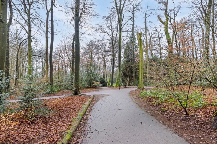 Foto 45 van Lippe Biesterfeldstraat 31-1