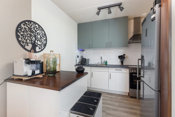 Foto 6 van Goudmos 92