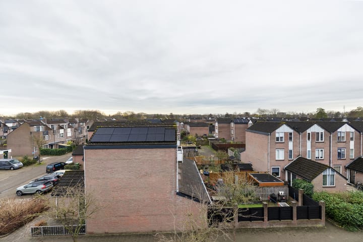 Foto 11 van Goudmos 92