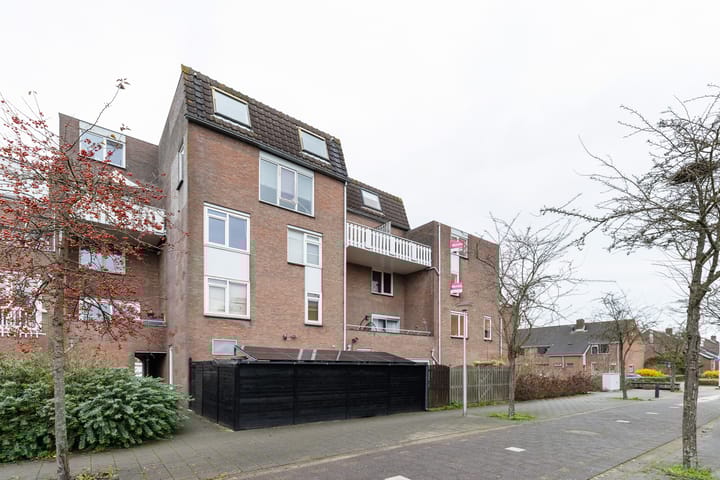 Foto 19 van Goudmos 92