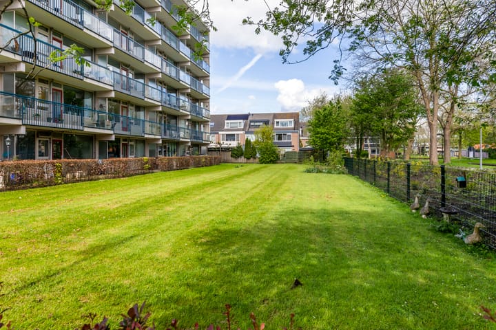 Foto 3 van Bredenoord 206