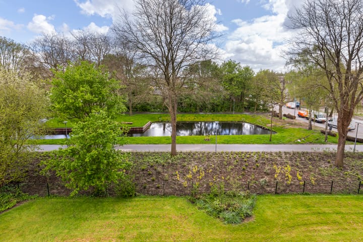 Photo 9 of Bredenoord 206