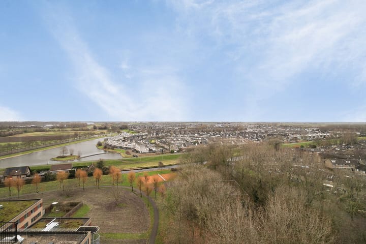 Foto 3 van Thetfordstraat 234