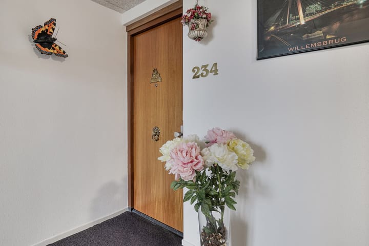 Foto 10 van Thetfordstraat 234