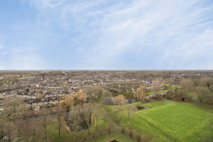 Foto 25 van Thetfordstraat 234