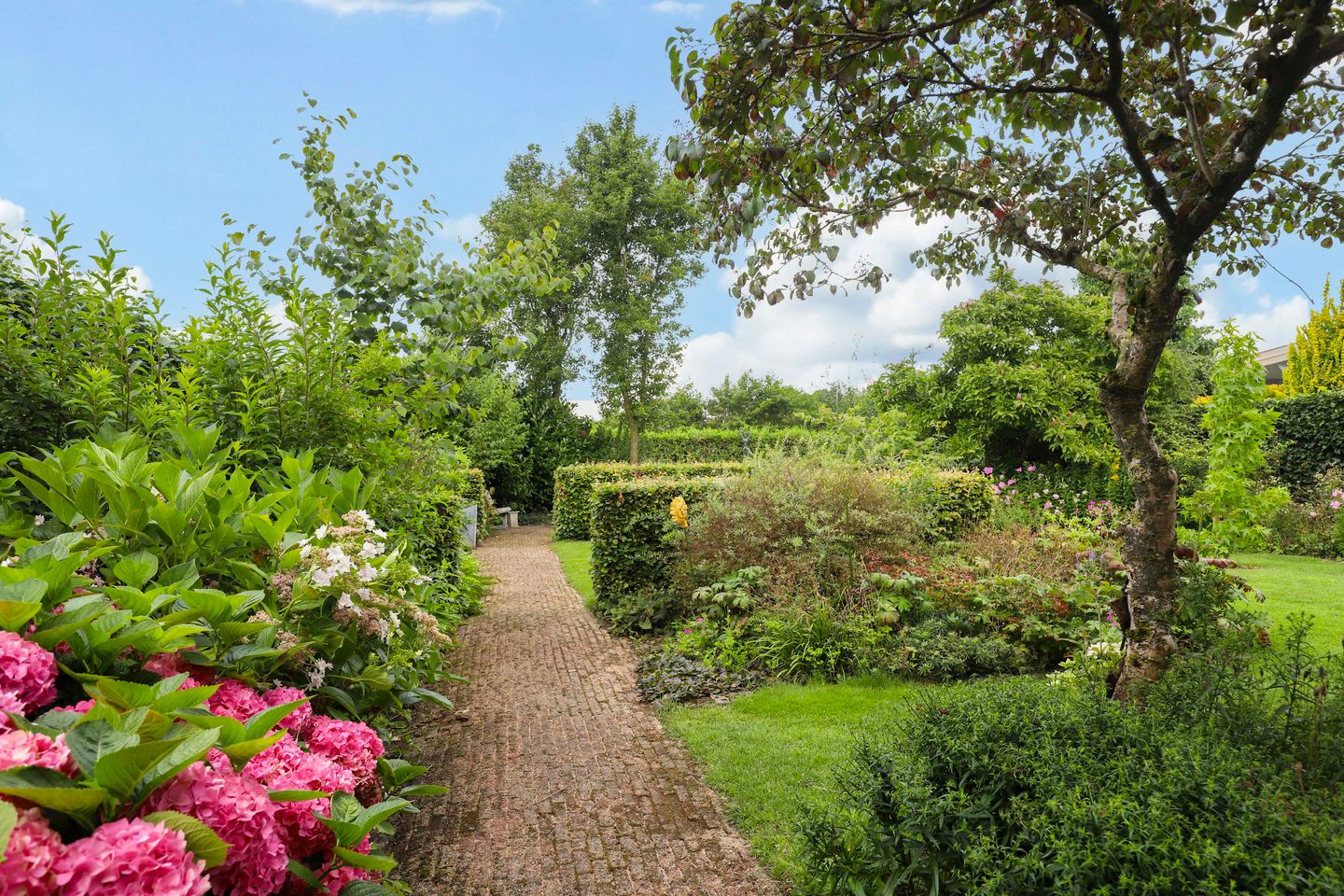 Foto 50 van Doornenburgallee 42