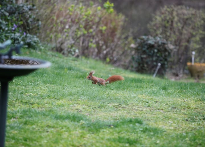 Foto 32 van Wilack 251