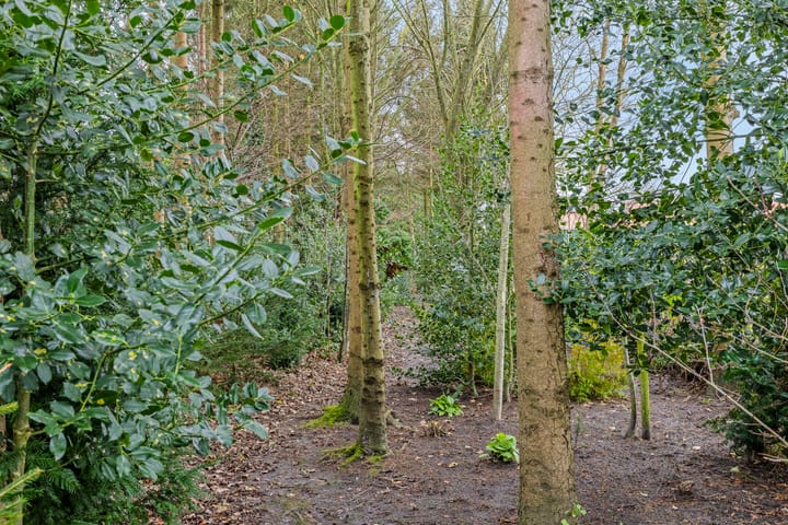 Foto 29 van Bouwtelaan 19