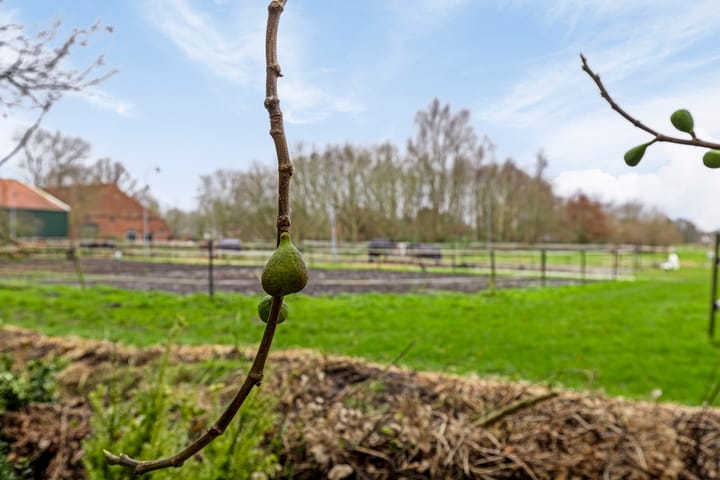 Foto 31 van Bouwtelaan 19