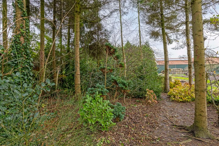 Foto 32 van Bouwtelaan 19