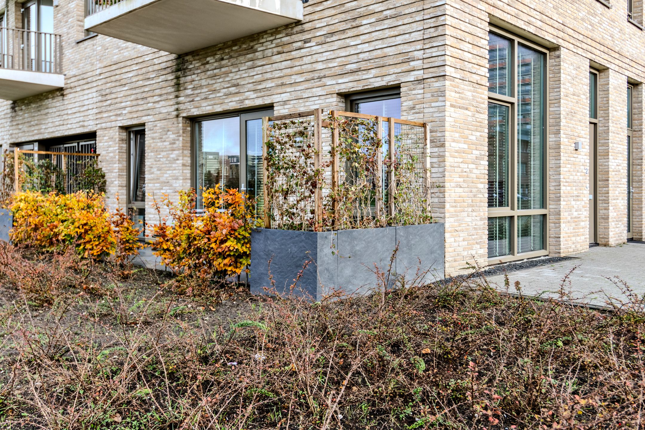 Photo 18 of Ponte di Rialto 2