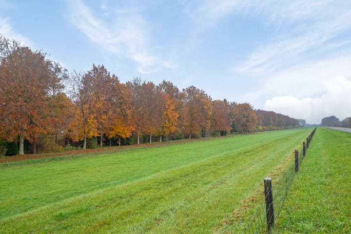 Foto 40 van Bijsselseweg 11-161