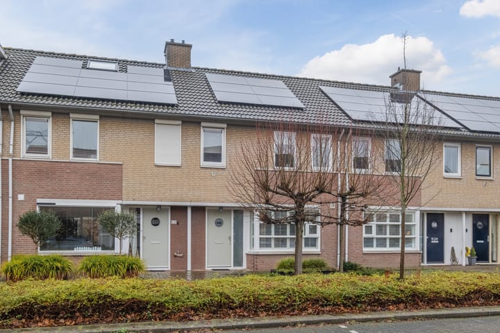 Foto 31 van Sam Gewissies 58