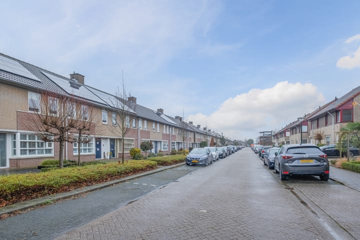 Foto 32 van Sam Gewissies 58