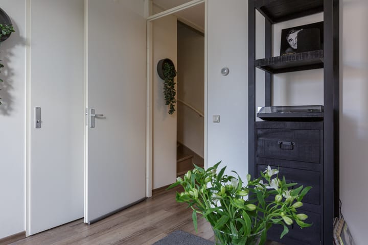 Photo 7 of Fossa Iberica 3