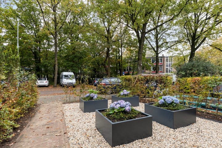 Foto 3 van Anna van Burenlaan 21