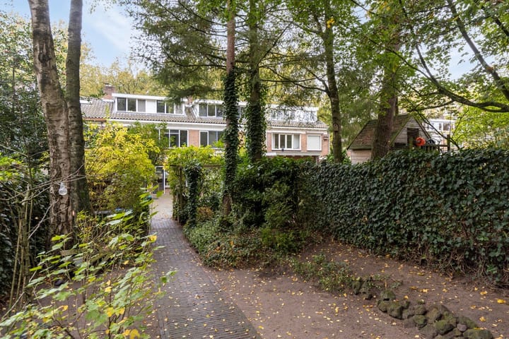 Foto 28 van Anna van Burenlaan 21