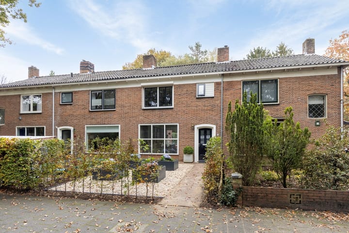 Foto 32 van Anna van Burenlaan 21