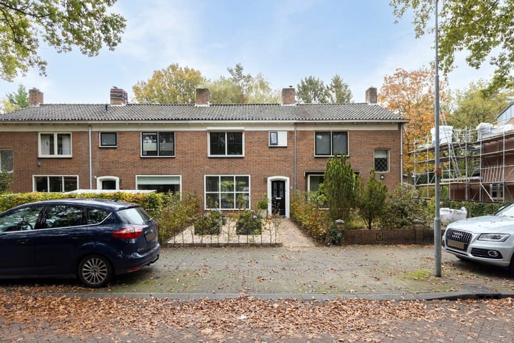 Foto 33 van Anna van Burenlaan 21