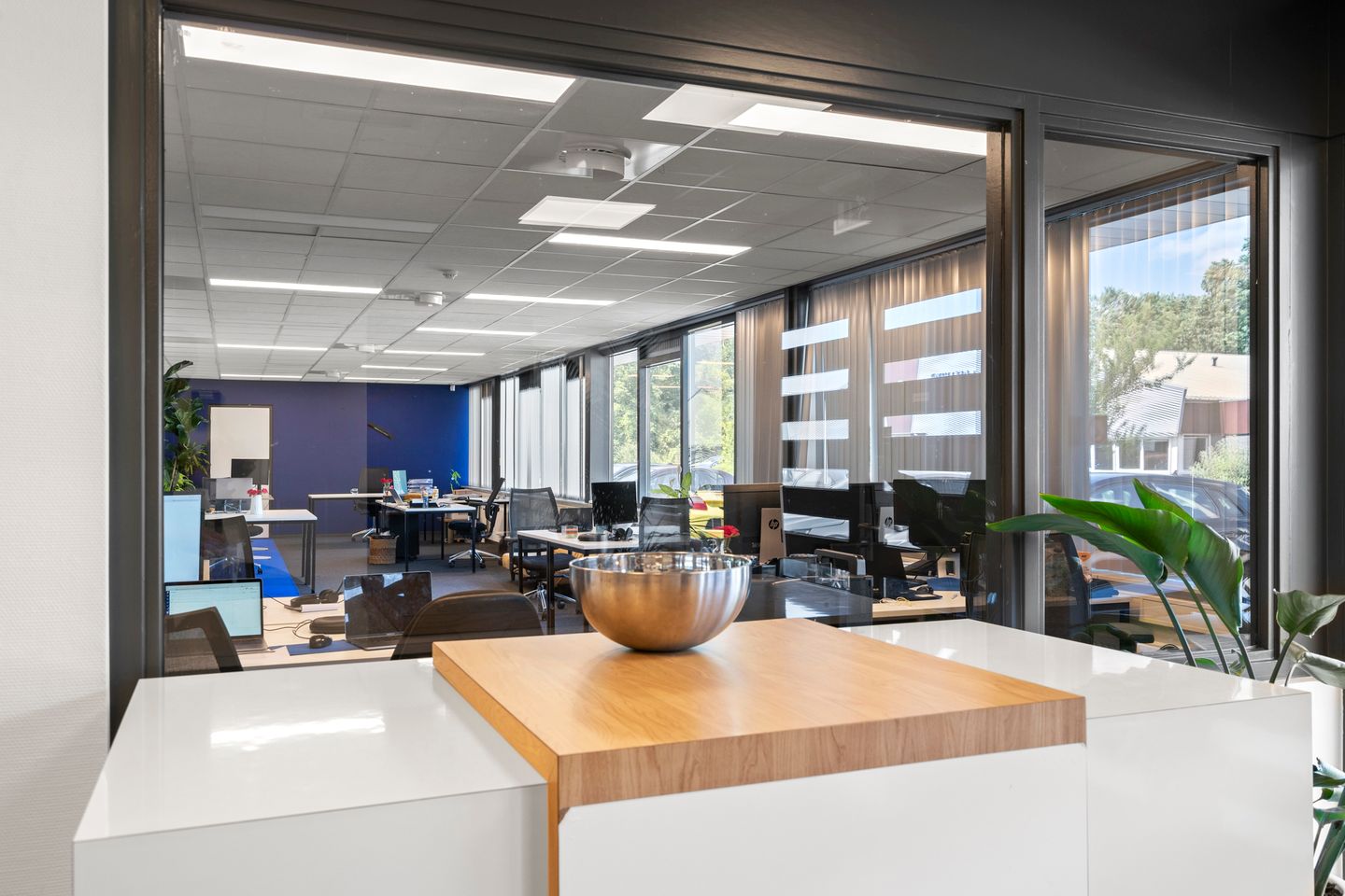 Bekijk foto 5 van 't Holland 12