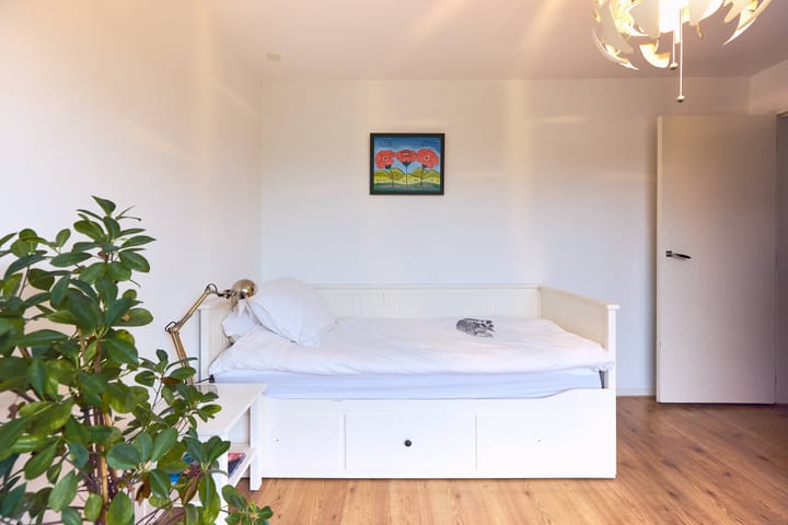 Foto 29 van J.H. Leopoldstraat 16