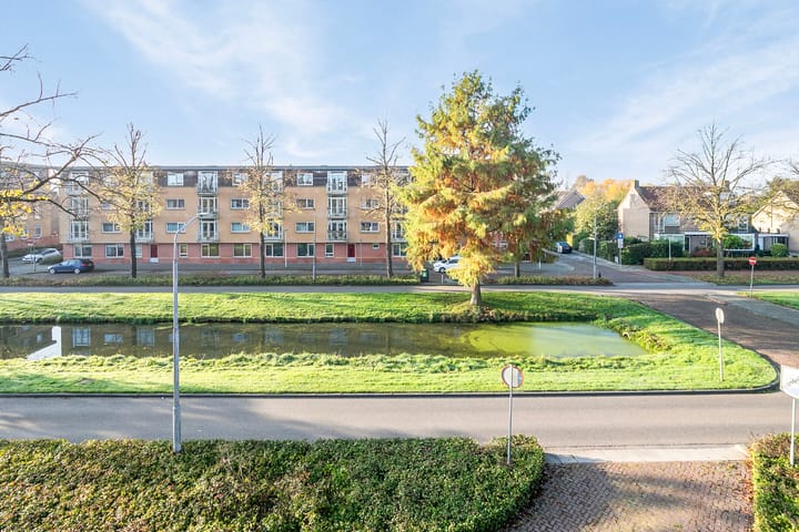 Foto 31 van Van Eesterensingel 41