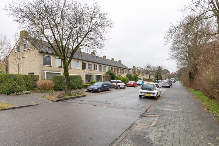 Bekijk foto 42 van Kruisbeklaan 50