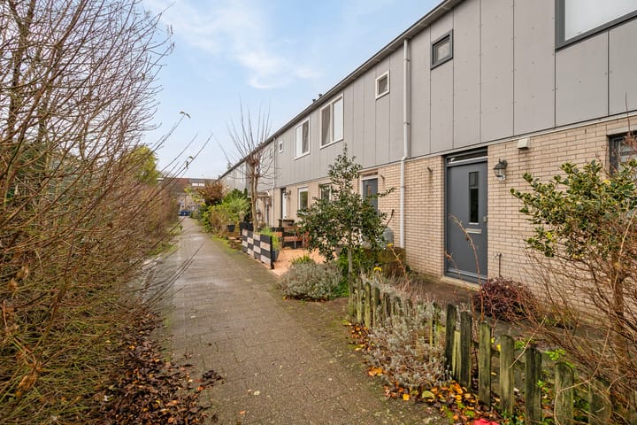 Foto 27 van Hartekruidpad 17