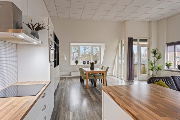 Foto 13 van Frans Halslaan 1-C