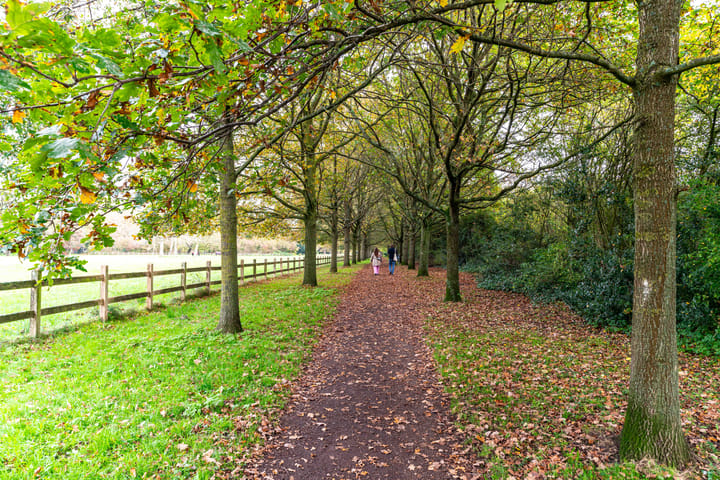 Photo 29 of Laan van Clingendael 30