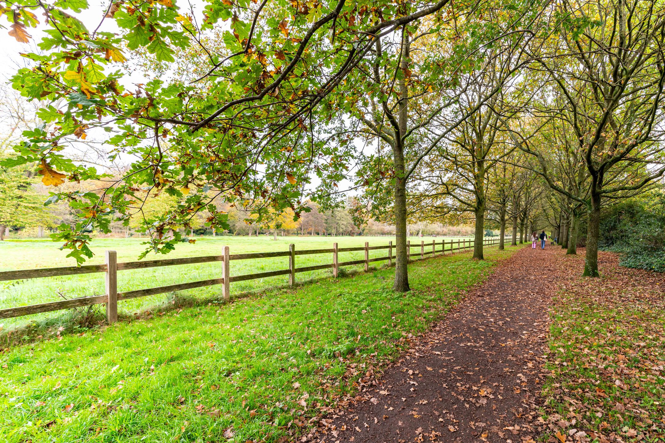 Foto 30 van Laan van Clingendael 30