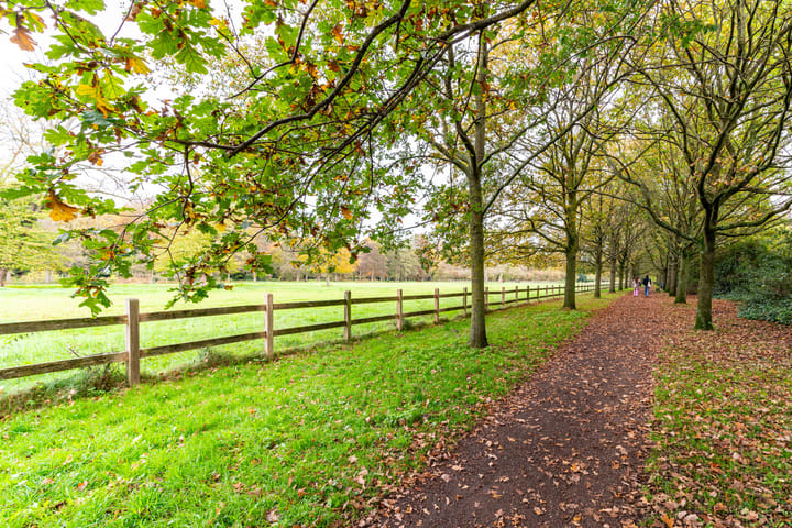 Photo 30 of Laan van Clingendael 30